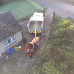 Site Clearance