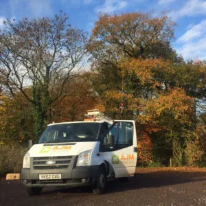 Tree and Hedge Planting